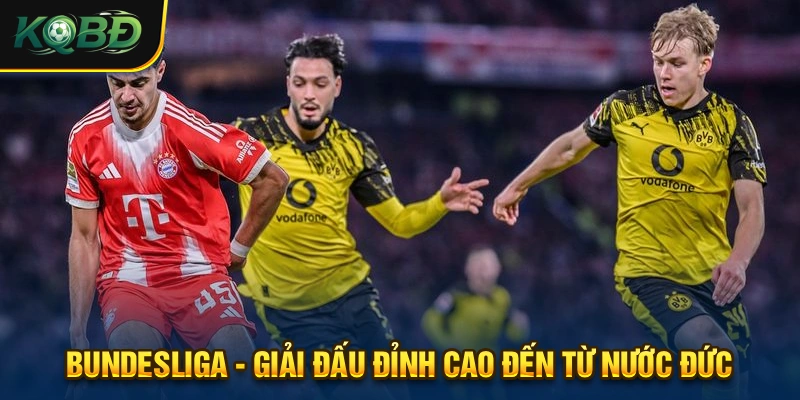 Bundesliga luôn được theo dõi kết quả từ hàng ngàn lượt truy cập mỗi ngày